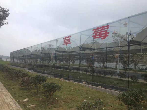 国内做农业的大陷阱！如果不懂这个风险如何规避?让你必死无疑！