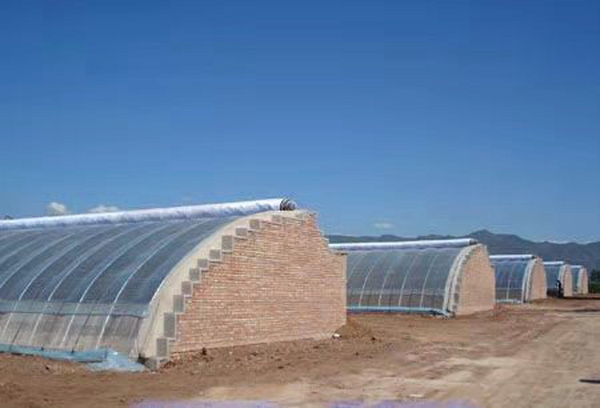 适宜日光温室使用的薄膜有哪些种类，各有什么特点？