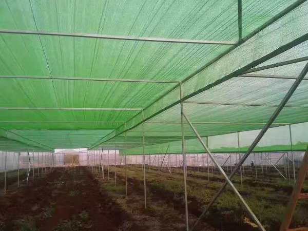 干农业项目的这三个陷阱！一不小心就会血本