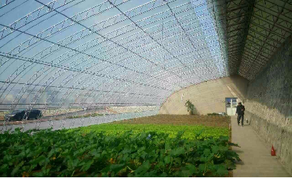 日光温室