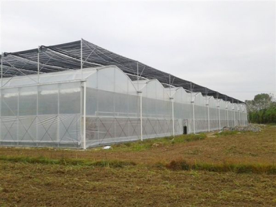 连栋温室