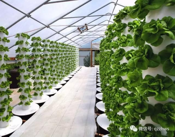 农业生态园的功能介绍