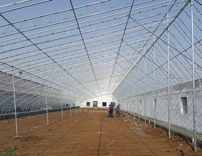 蔬菜大棚如何搭建标准的？