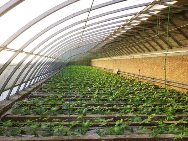 如何正确的使用日光温室？