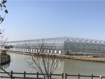 玻璃温室