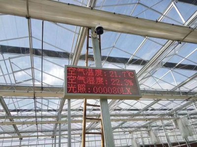 温度湿度光照显示器