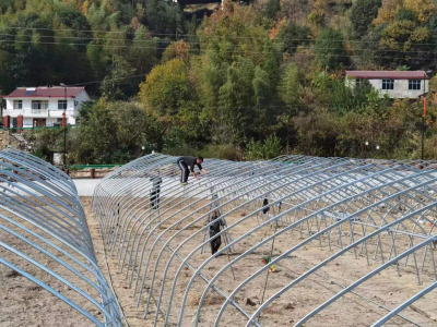 2022年12月完工，安徽明堂村种植单体棚和连动温室