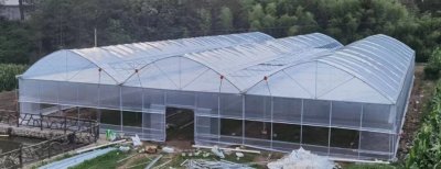 2023年6月完工 安徽王程连动薄膜温室大棚 